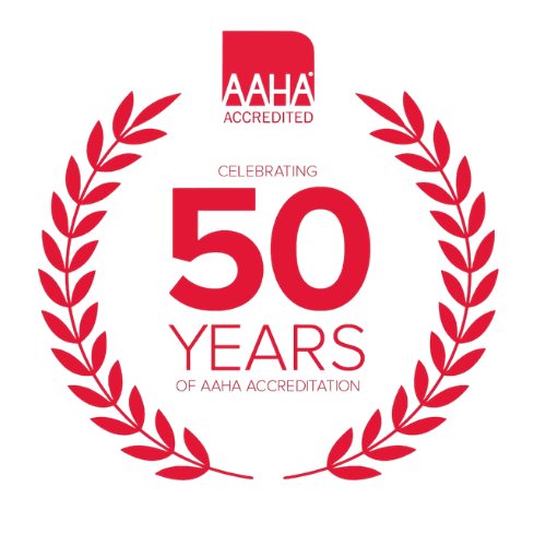 AAHA accredited 50 years
